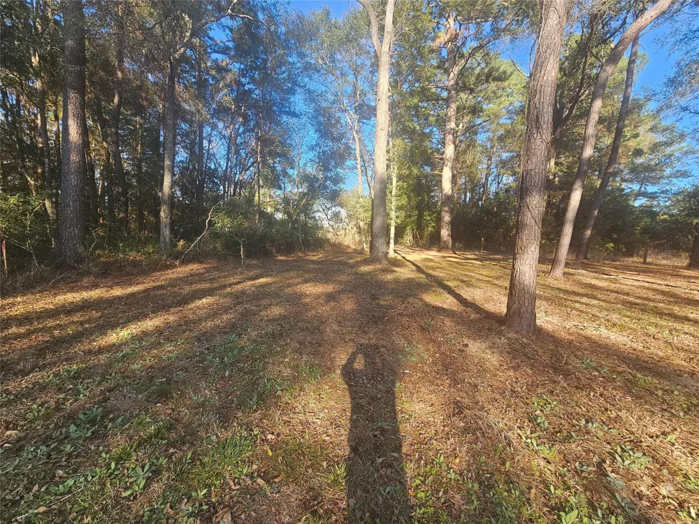 1325 Fm 223 Road Shepherd, TX 77371