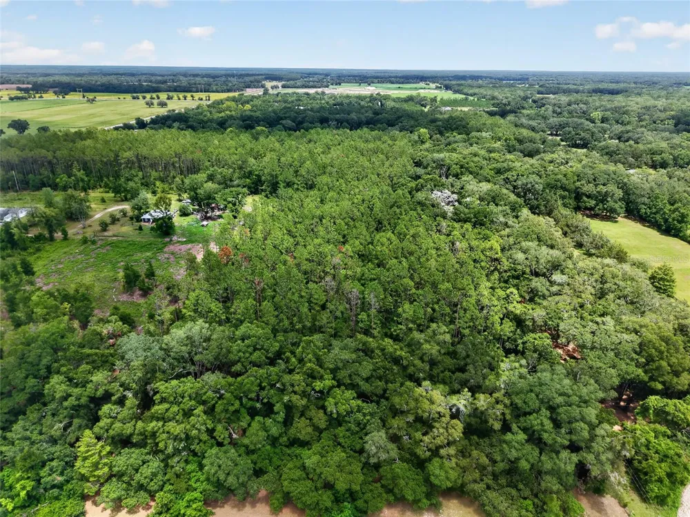 000 W NEWBERRY ROAD Newberry, FL 32669