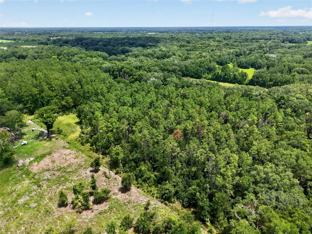 000 W NEWBERRY ROAD Newberry, FL 32669