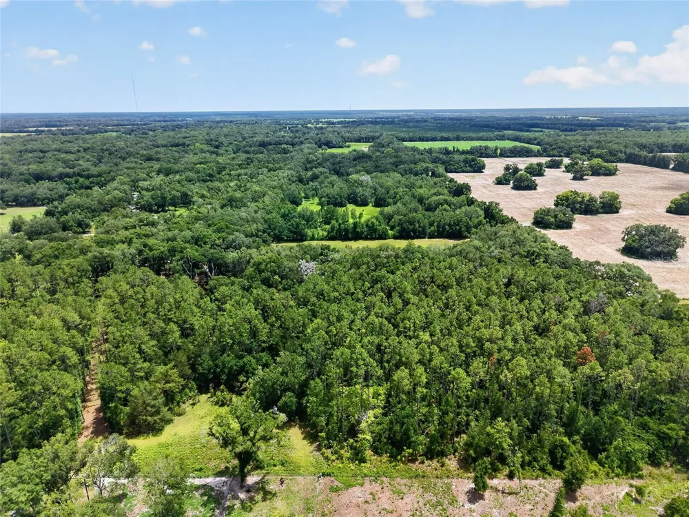 000 W NEWBERRY ROAD Newberry, FL 32669