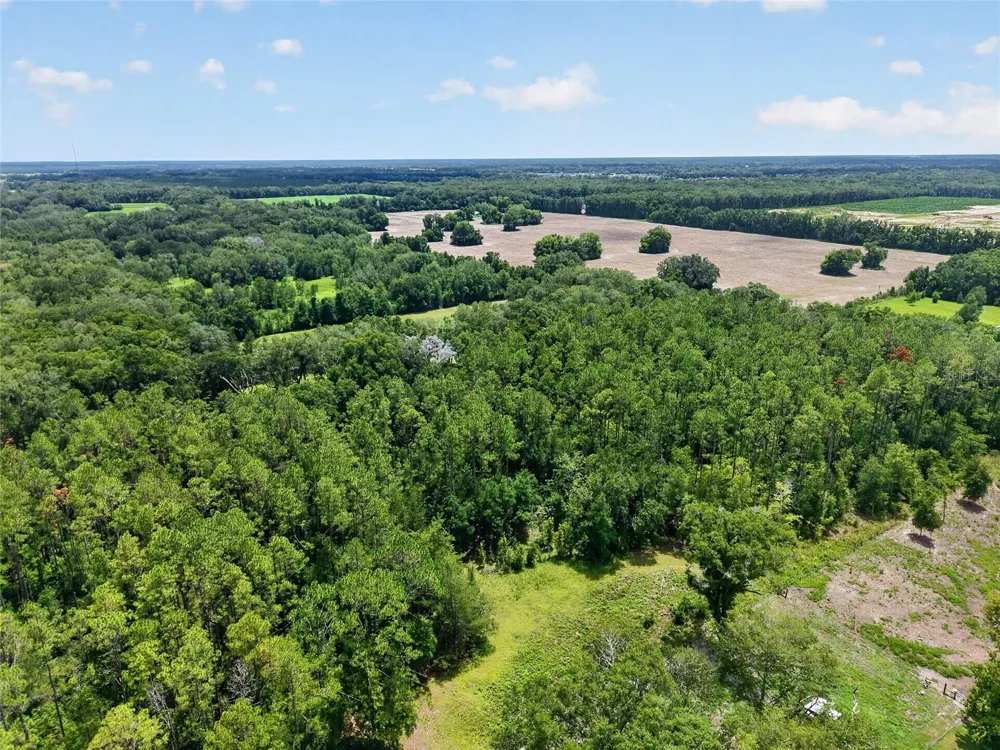 000 W NEWBERRY ROAD Newberry, FL 32669