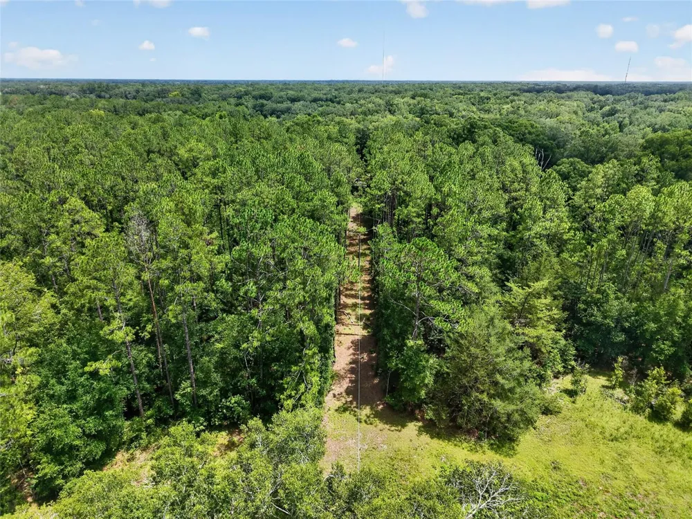 000 W NEWBERRY ROAD Newberry, FL 32669