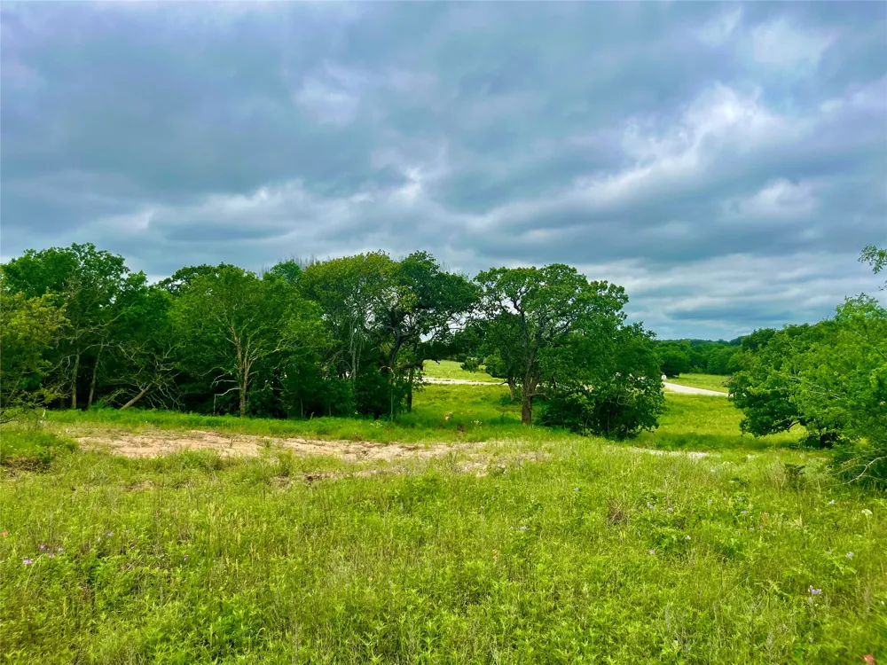 Clare Rd Poolville, TX 76487