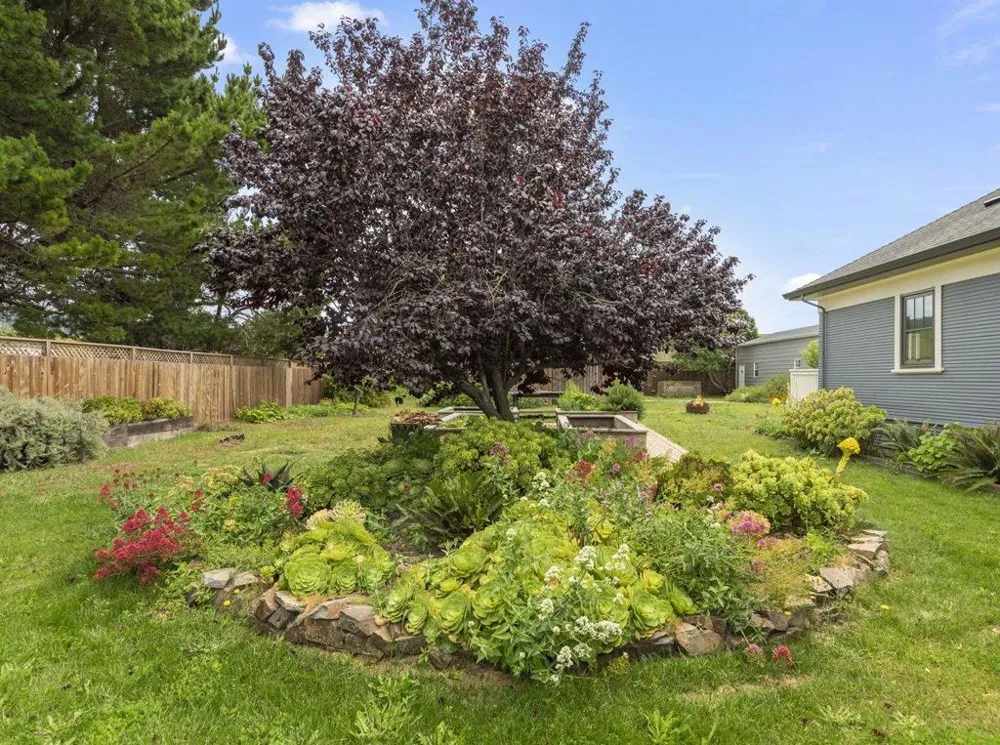 527 North Street Pescadero, CA 94060