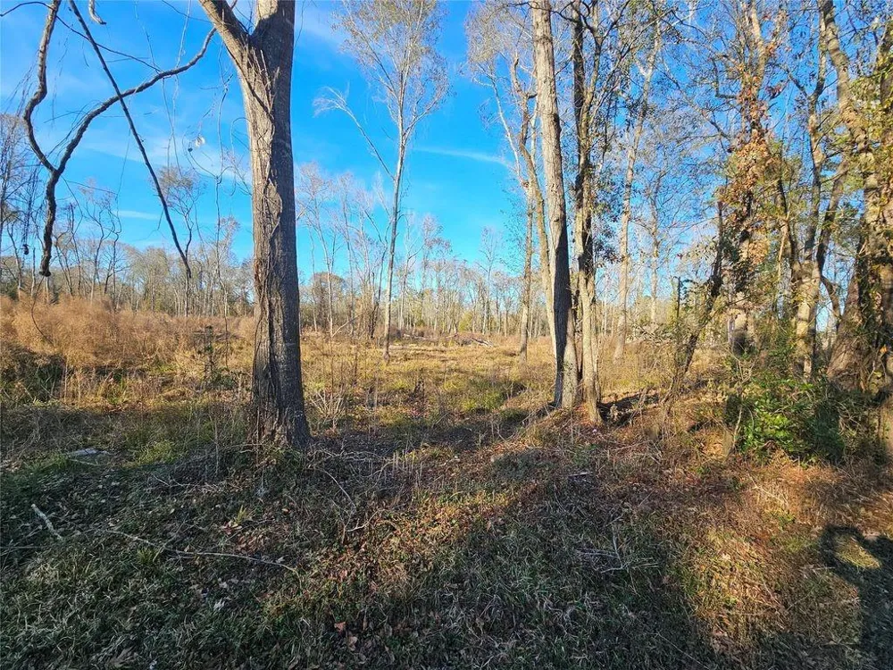 47 Sherwood Drive Shepherd, TX 77371