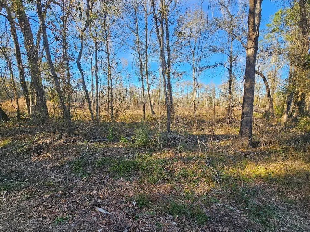 47 Sherwood Drive Shepherd, TX 77371