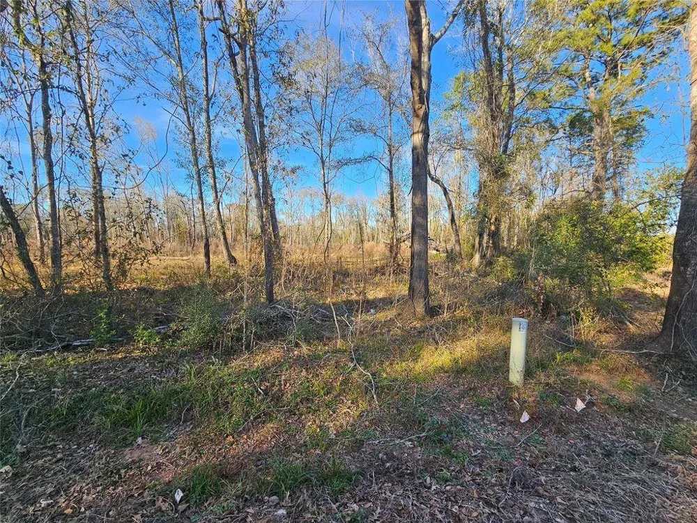 47 Sherwood Drive Shepherd, TX 77371