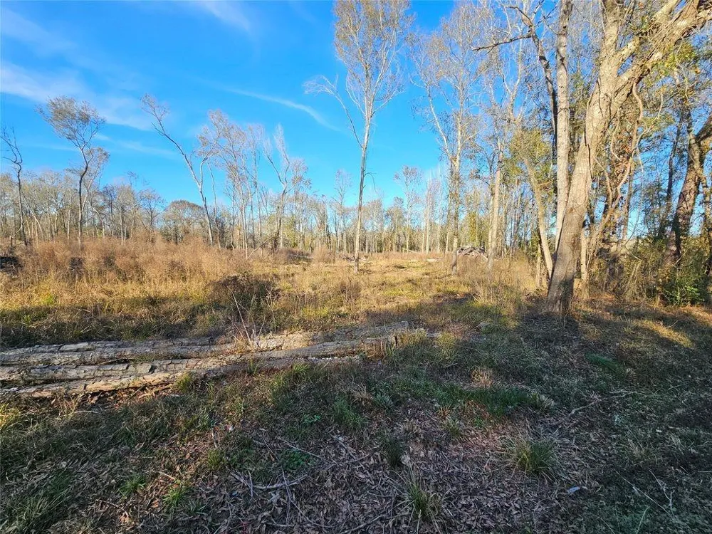 47 Sherwood Drive Shepherd, TX 77371