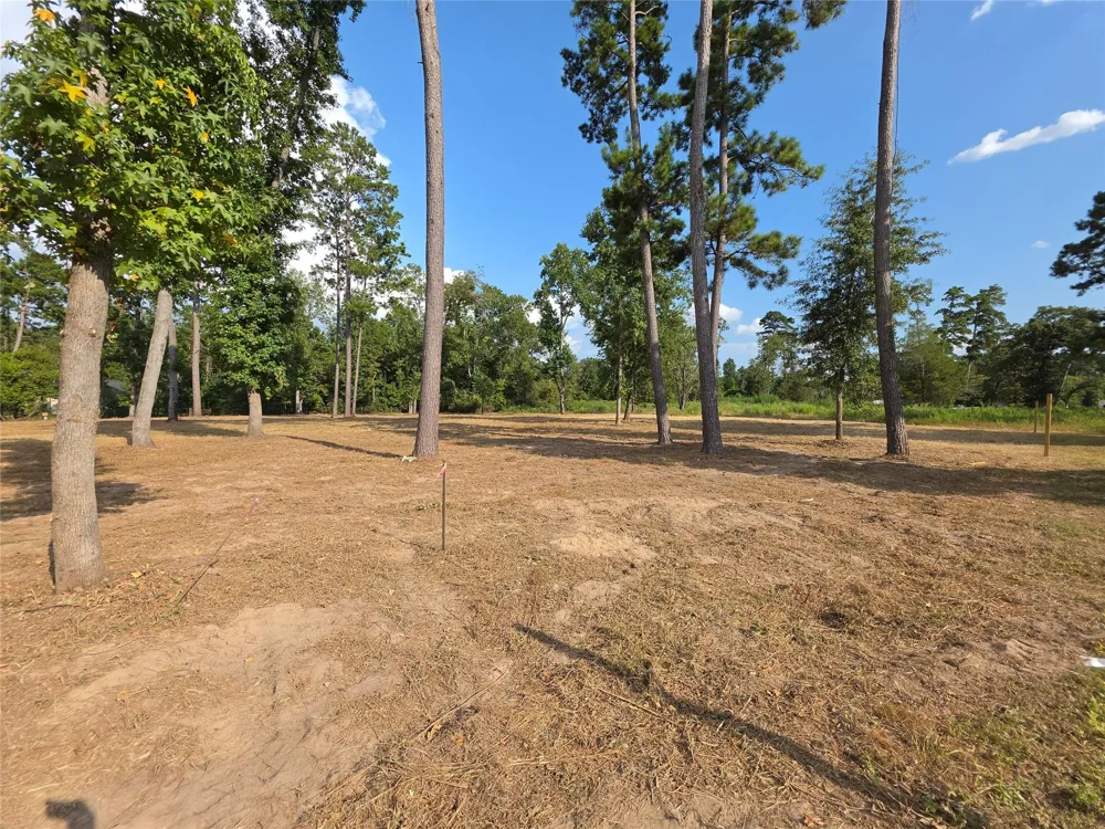 4 Gaff Road Magnolia, TX 77355