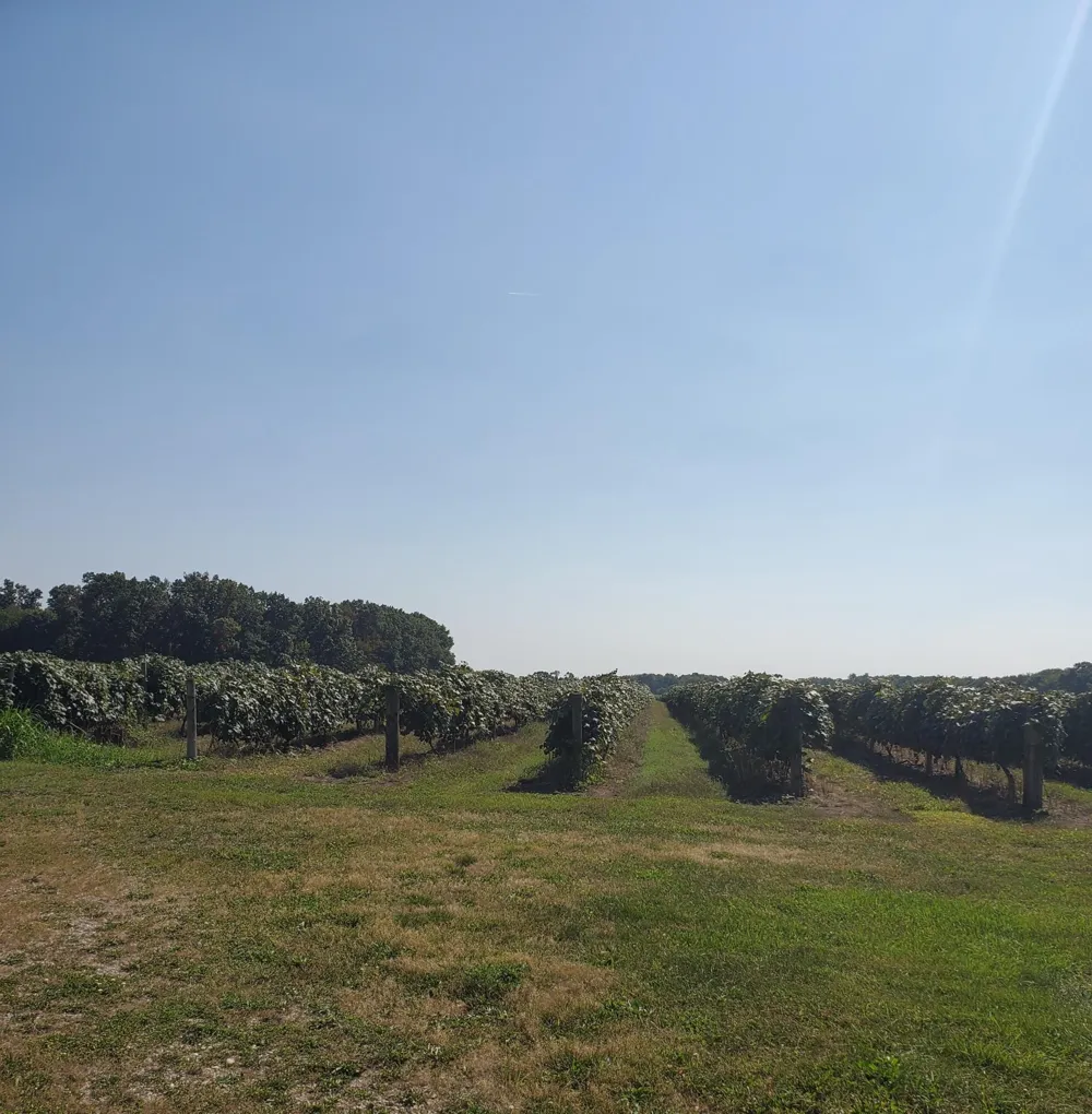 County Road 671 Paw Paw, MI 49079