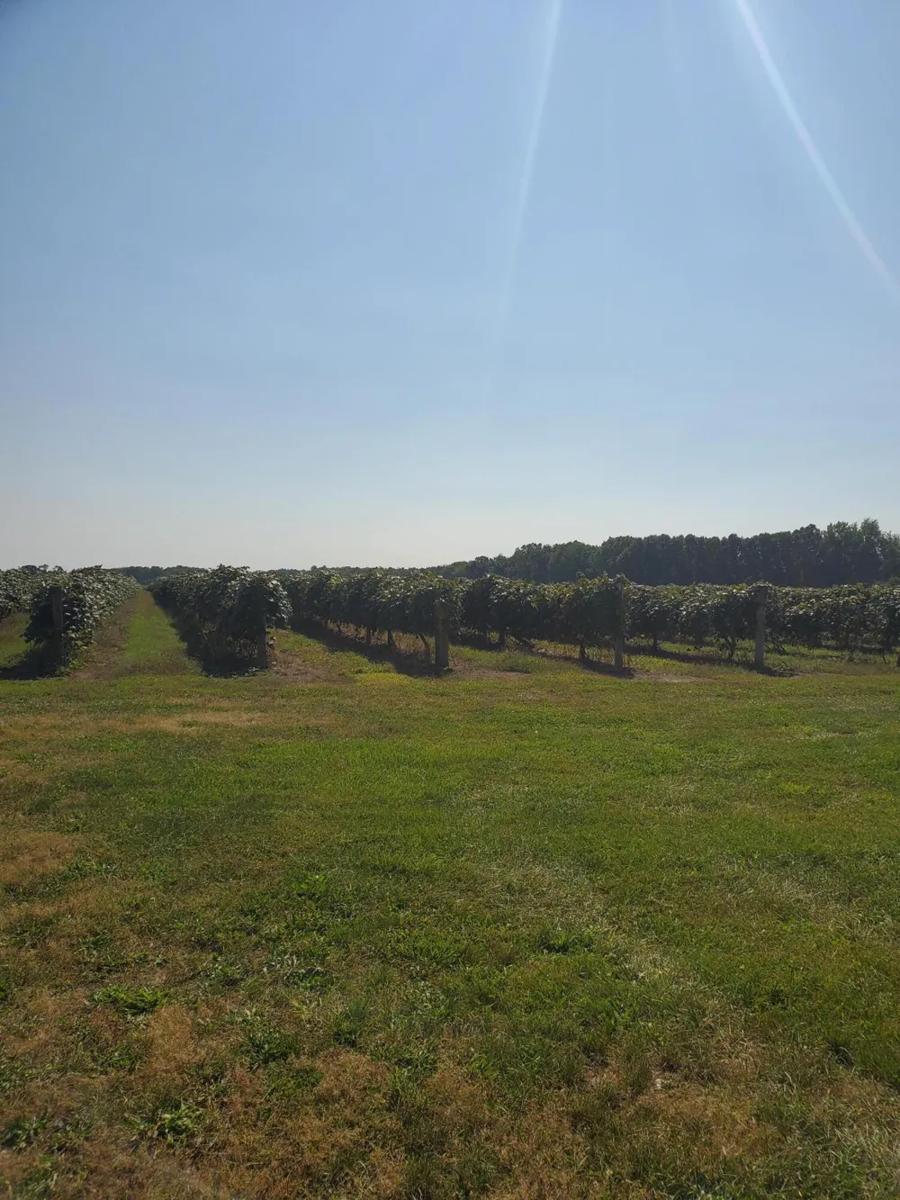 County Road 671 Paw Paw, MI 49079