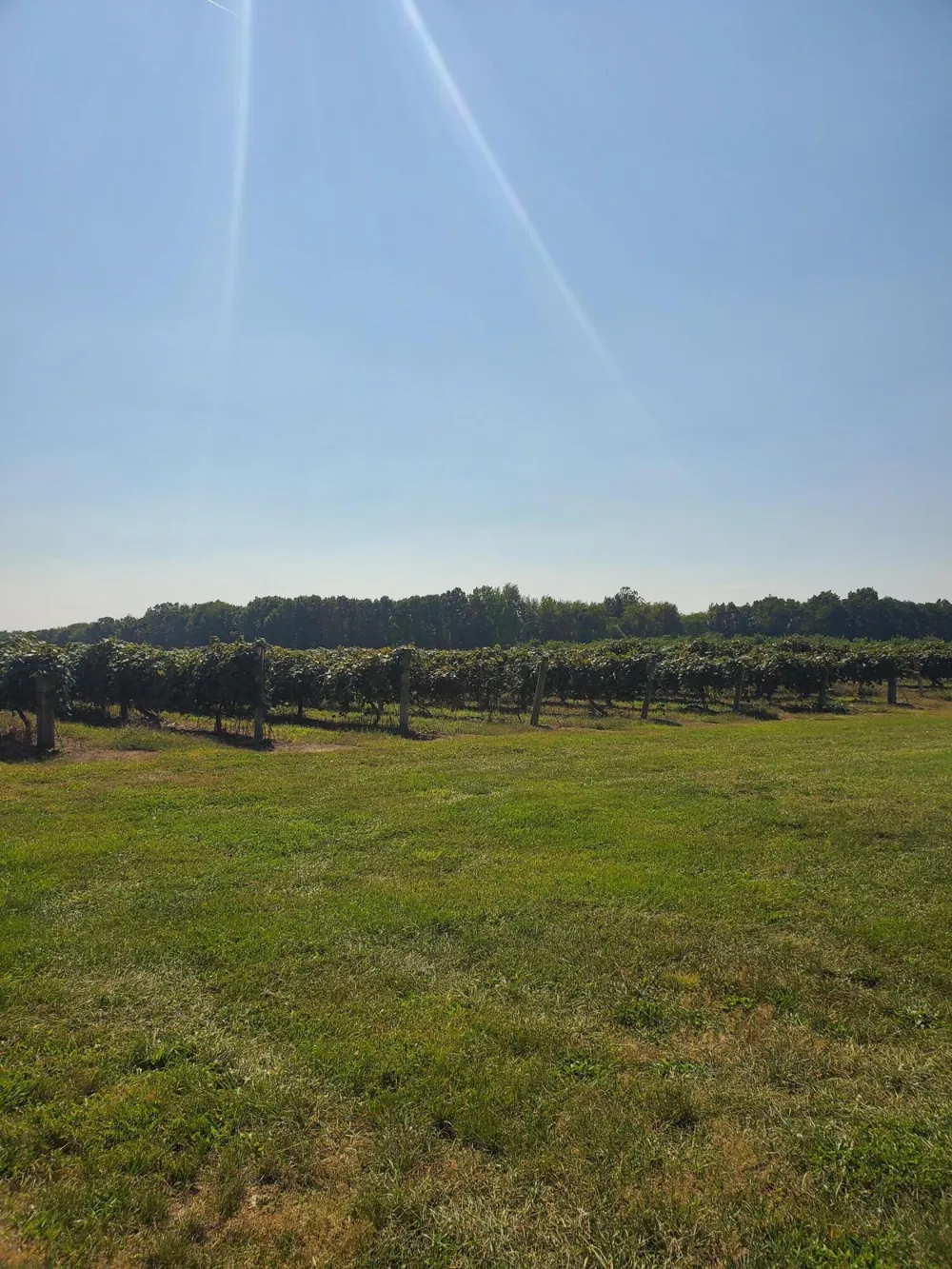 County Road 671 Paw Paw, MI 49079
