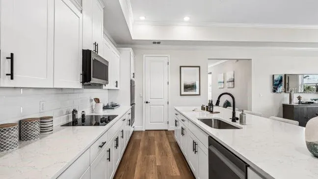 30653 PRESTWICK AVENUE Sorrento, FL 32776
