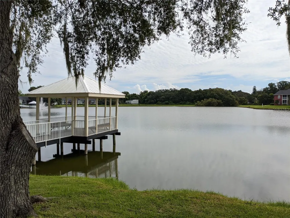 209 LAKE BROOK CIRCLE #103 Brandon, FL 33511