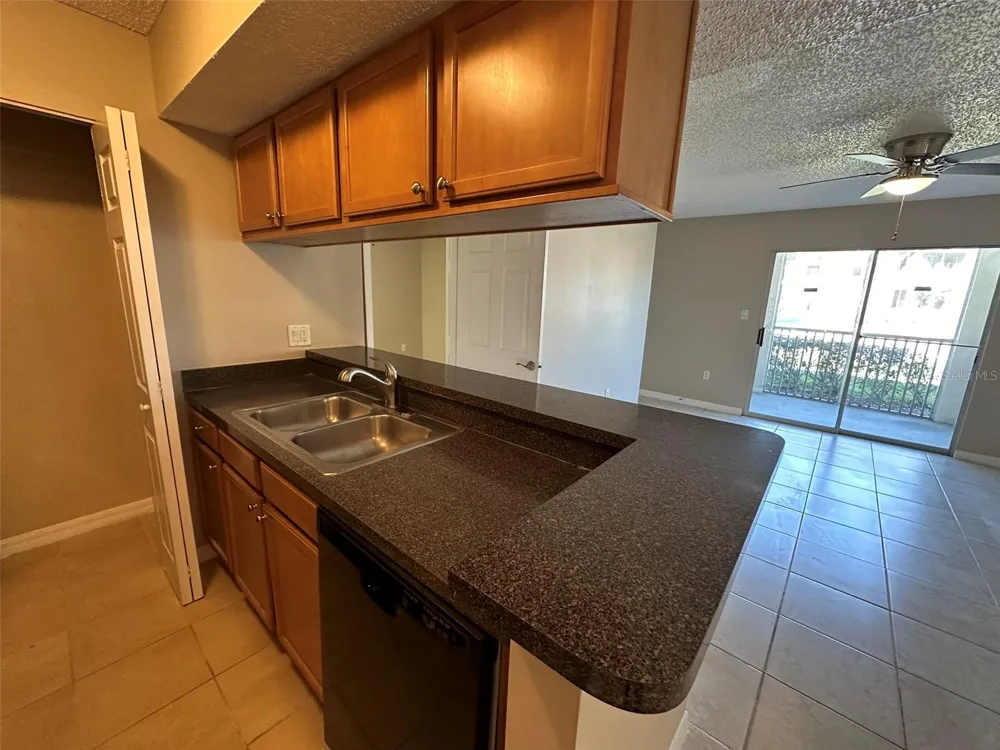 209 LAKE BROOK CIRCLE #103 Brandon, FL 33511