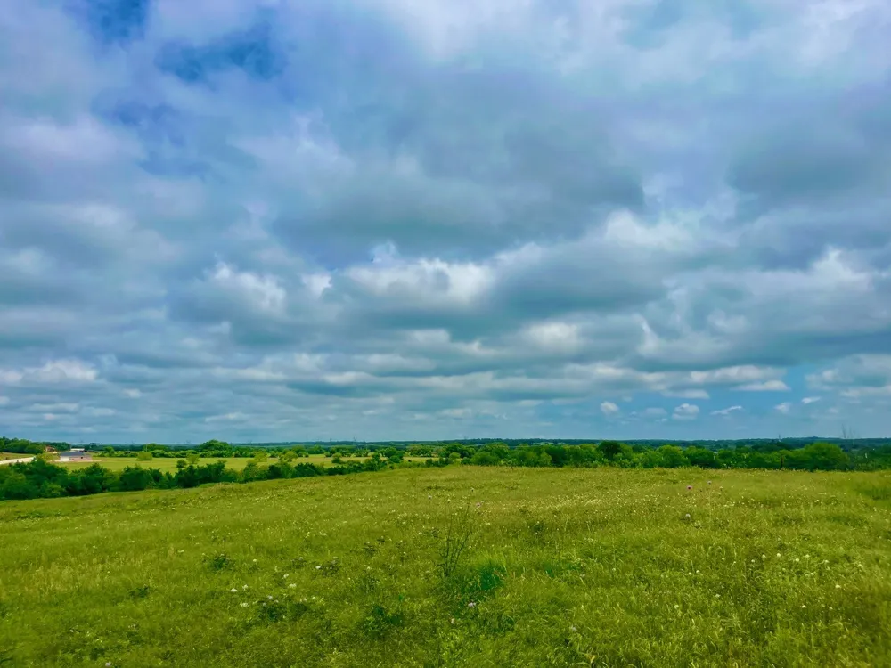 Clare Rd Poolville, TX 76487