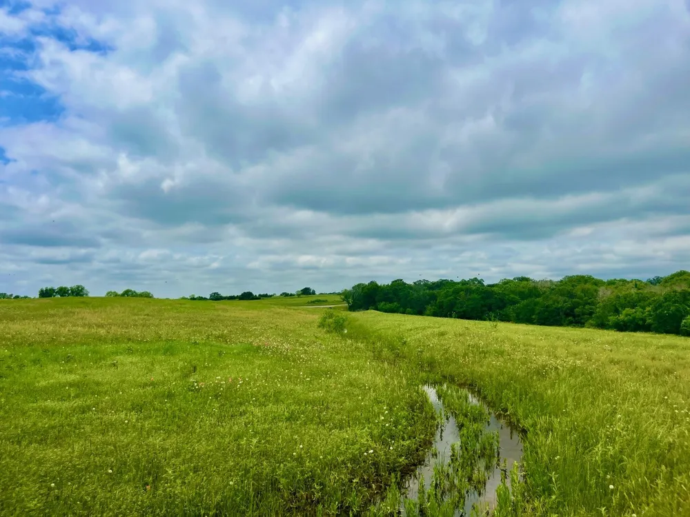 Clare Rd Poolville, TX 76487