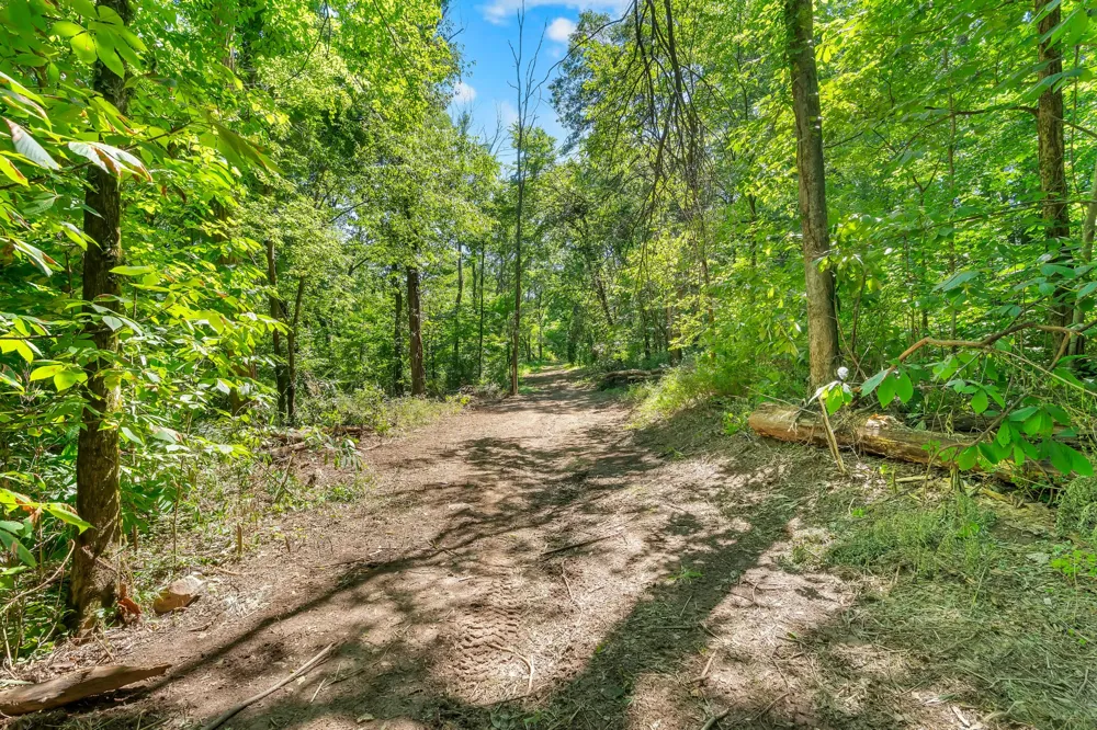 0 Wolf Hill Road Bethpage, TN 37022
