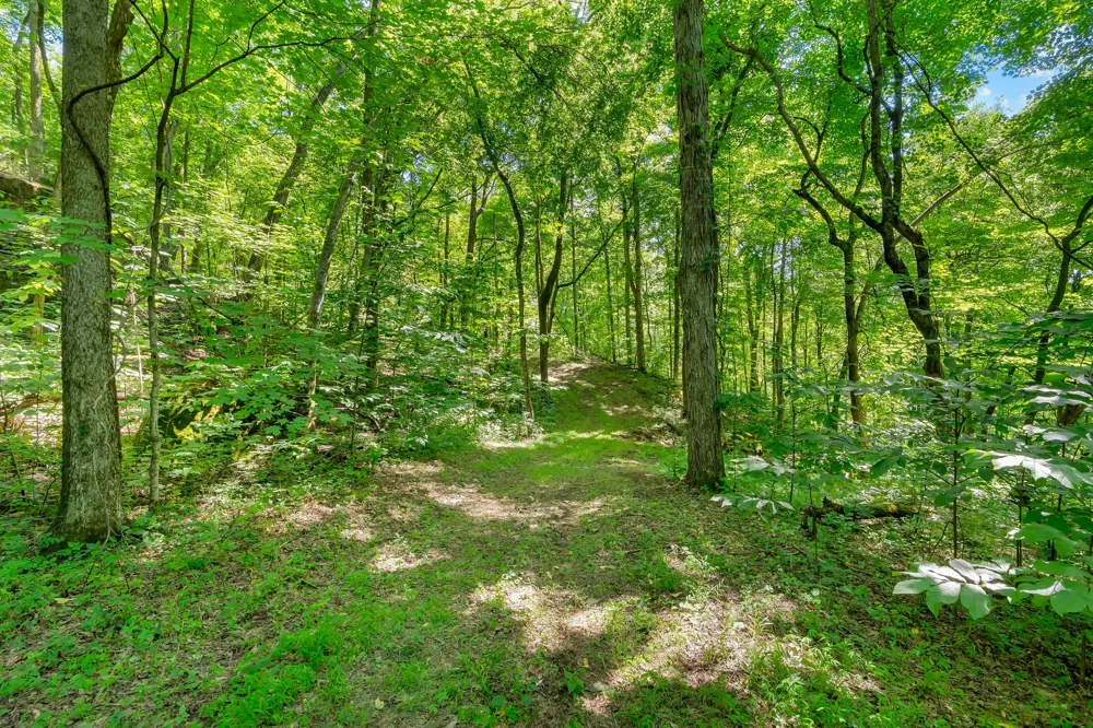 0 Wolf Hill Road Bethpage, TN 37022