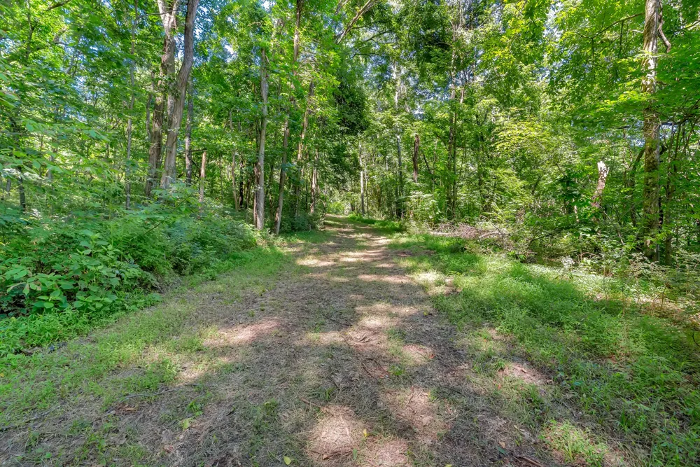 0 Wolf Hill Road Bethpage, TN 37022