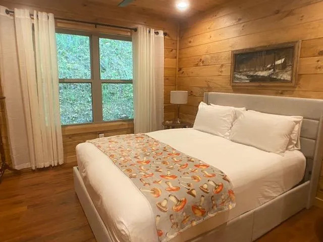 Majestic Mountain View Bryson City, NC 28713