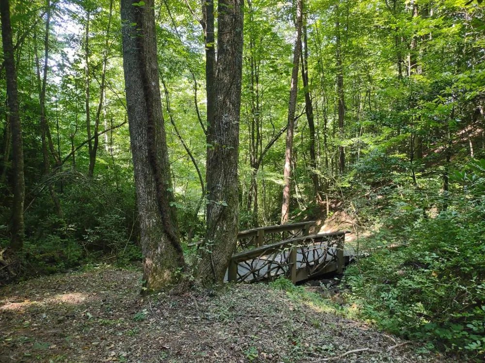 Majestic Mountain View Bryson City, NC 28713