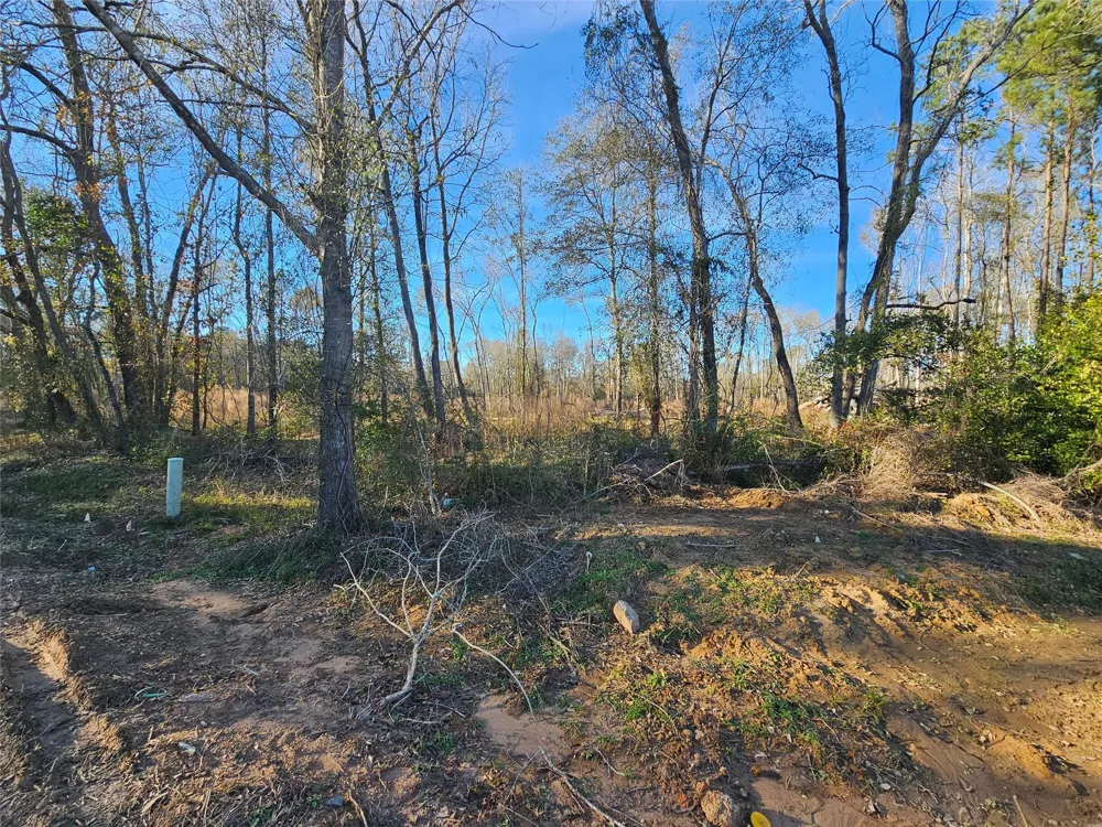 4 Sherwood Drive Shepherd, TX 77371