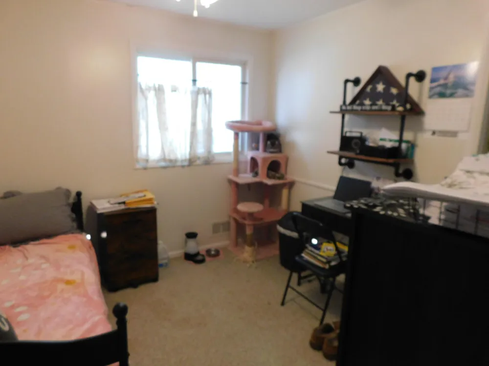 124 Peterson Drive Cheshire Township, MI 49055