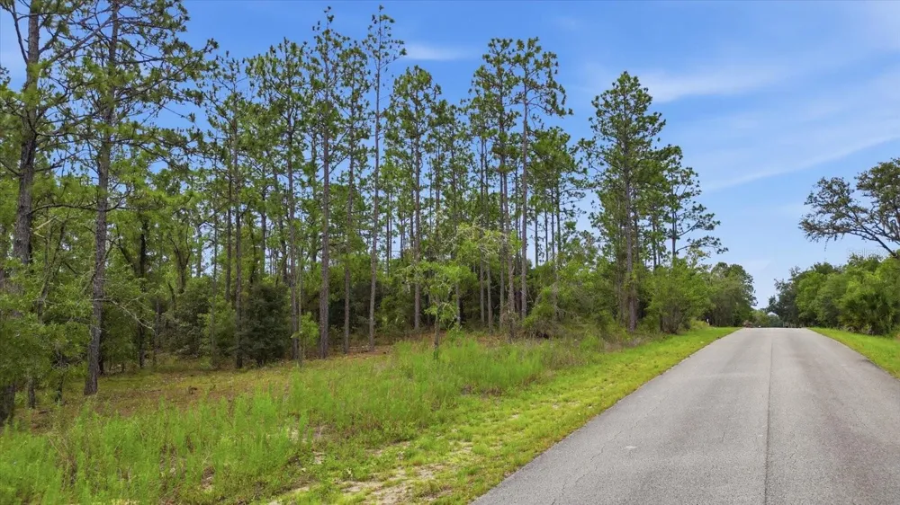 0000 SW SANDS POINT AVE LOT 38 Dunnellon, FL 34431
