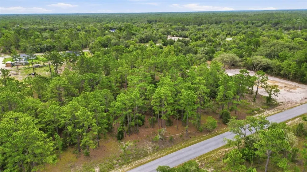 0000 SW SANDS POINT AVE LOT 38 Dunnellon, FL 34431