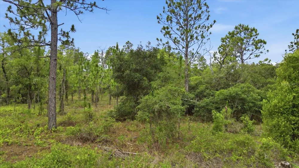 0000 SW PLAZA COURT COURT Dunnellon, FL 34431