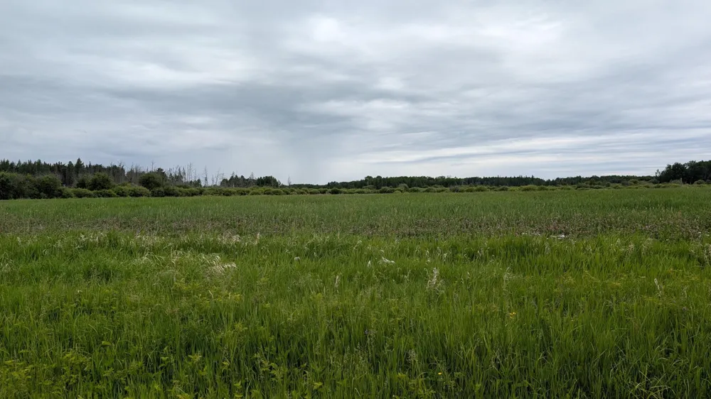 10211 Leander Road Angora, MN 55703