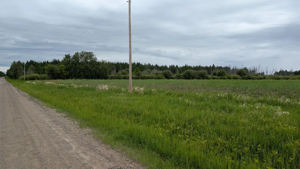 10211 Leander Road Angora, MN 55703