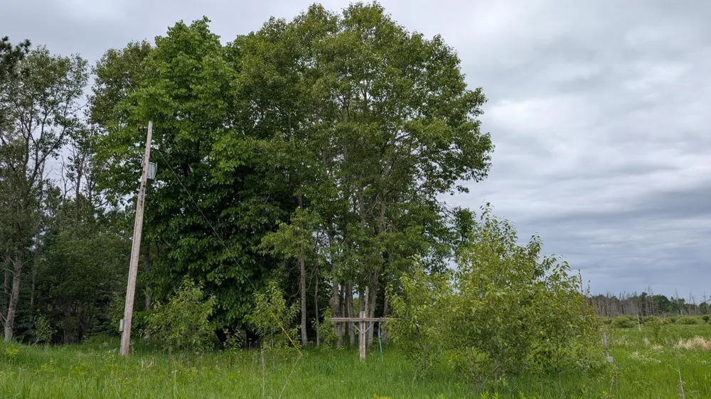 10211 Leander Road Angora, MN 55703