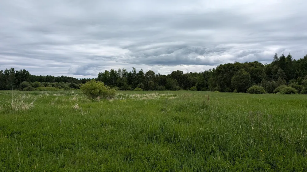 10211 Leander Road Angora, MN 55703