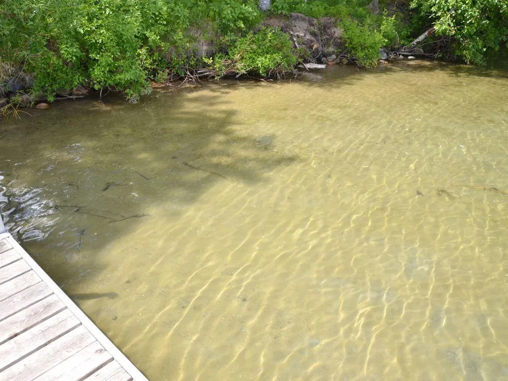 17269 Cattail Drive Park Rapids, MN 56470