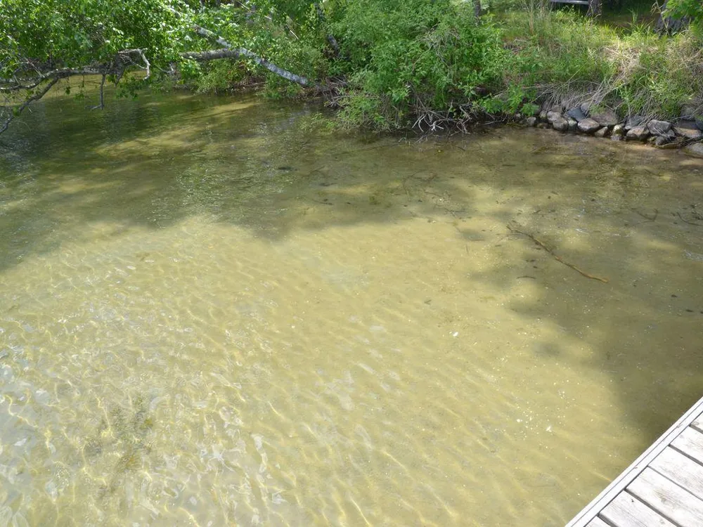 17269 Cattail Drive Park Rapids, MN 56470
