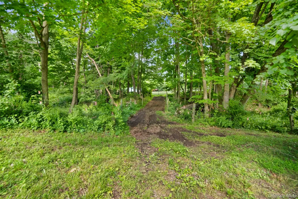 73 Lake Ellis Road Wingdale, NY 12594