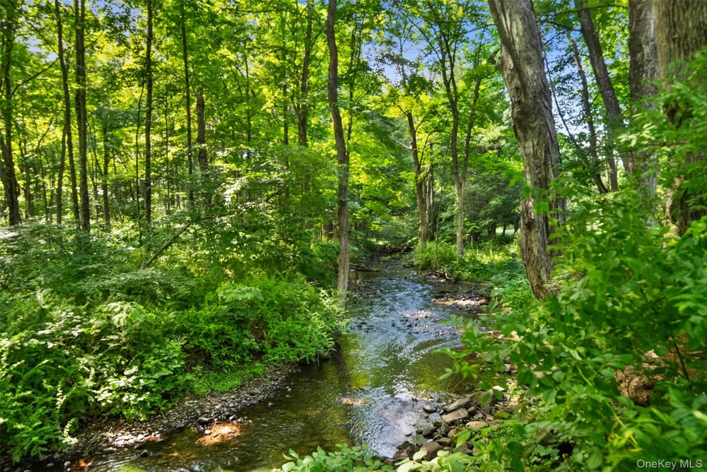 73 Lake Ellis Road Wingdale, NY 12594