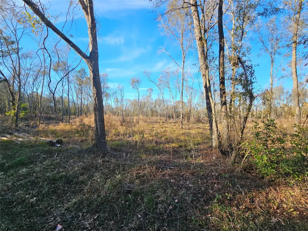3 Sherwood Drive Shepherd, TX 77371