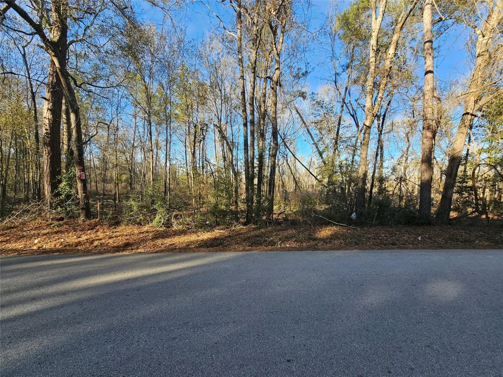 3 Sherwood Drive Shepherd, TX 77371