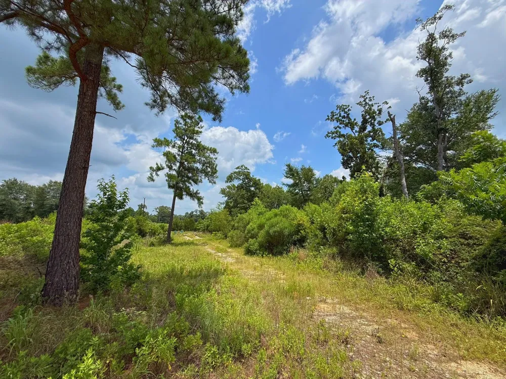 13 Cr 2012 Centerville, TX 75833