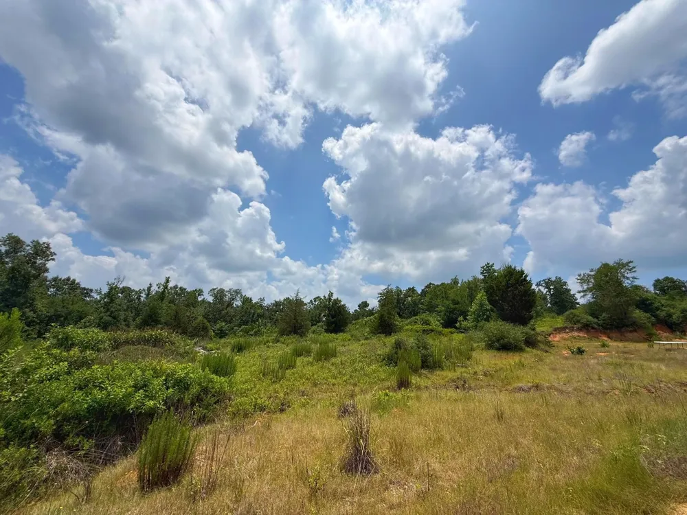 13 Cr 2012 Centerville, TX 75833
