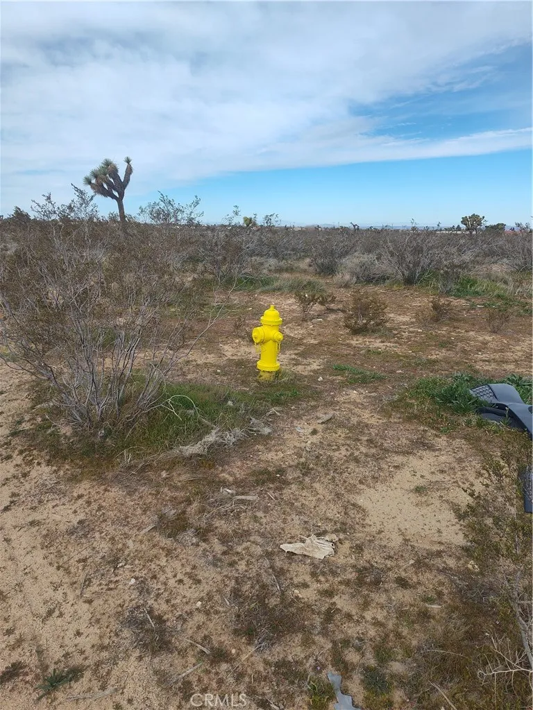 Buttemere Road Phelan, CA 92371