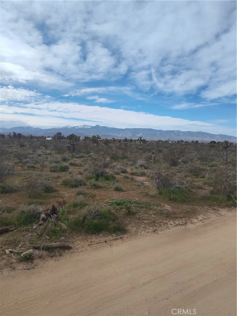 Buttemere Road Phelan, CA 92371