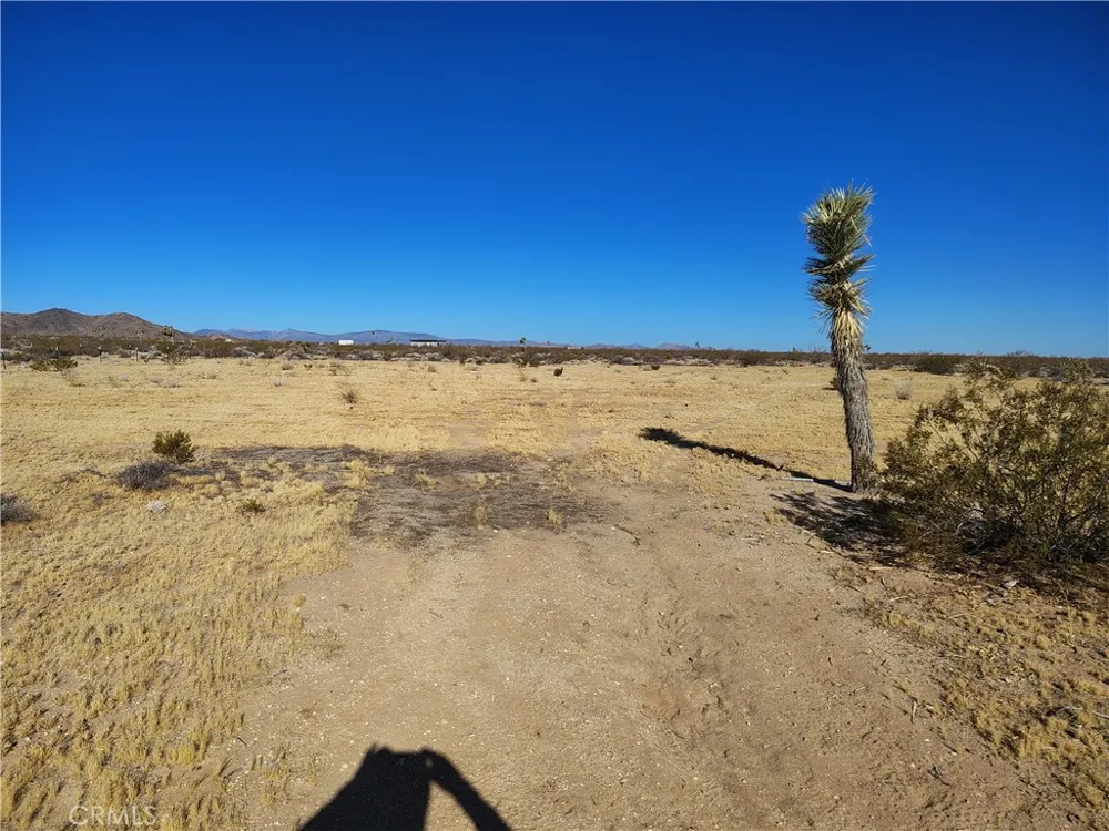 408 Stable Landers, CA 92285