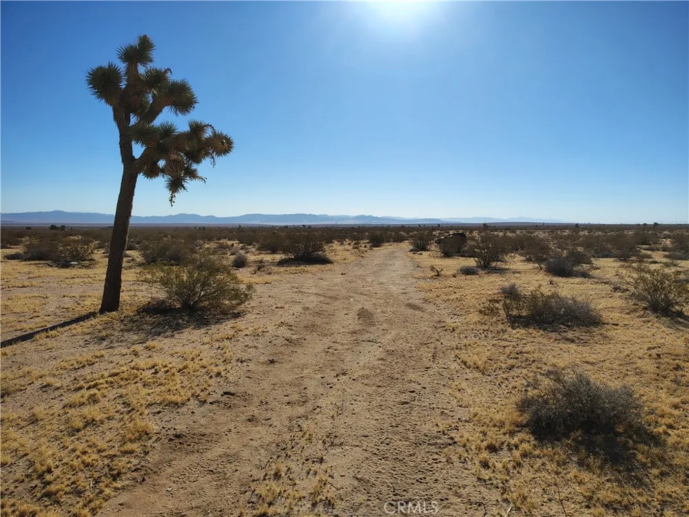 408 Stable Landers, CA 92285