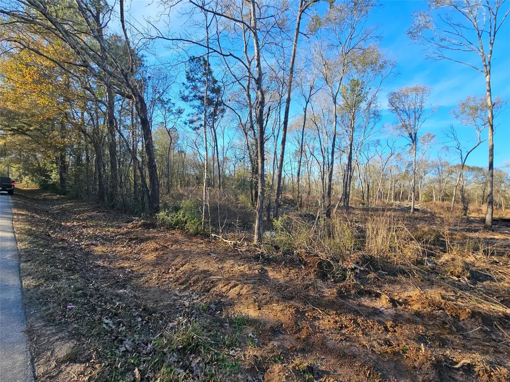 2 Sherwood Drive Shepherd, TX 77371