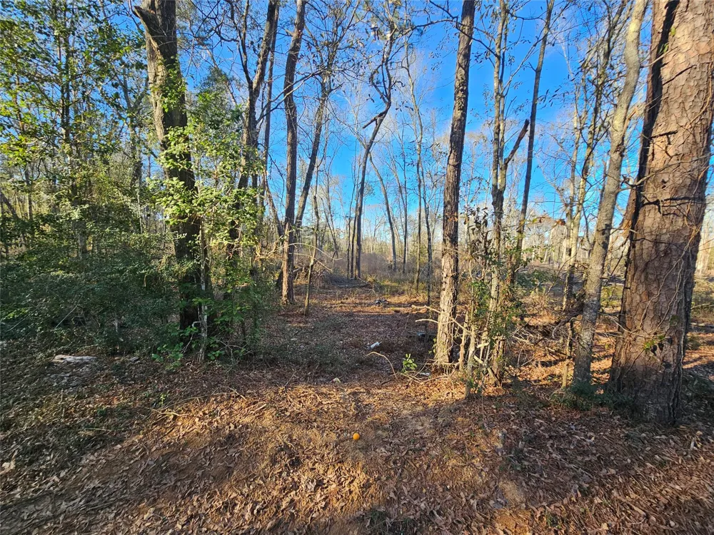 2 Sherwood Drive Shepherd, TX 77371