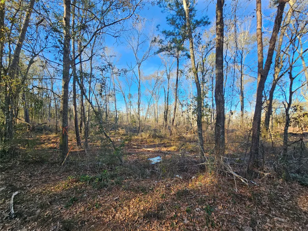 2 Sherwood Drive Shepherd, TX 77371